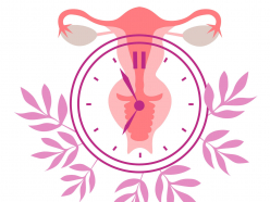 Illustration einer Gebaermutter mit Uhrsymbol und Pflanzenmotiven in Rosa.