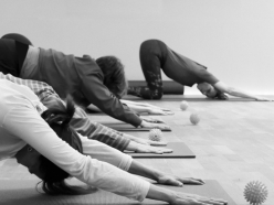 Gruppe uebt Osteopathisches Faszientraining in Haltung kleiner Hund auf Yogamatten im Intensivkurs 